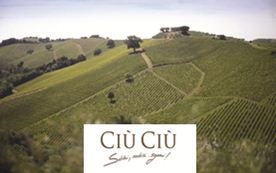 Special tastings on Frecciarossa