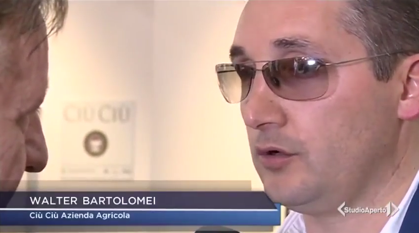 Vinitaly 2016: Walter Bartolomei ai microfoni di Studio Aperto